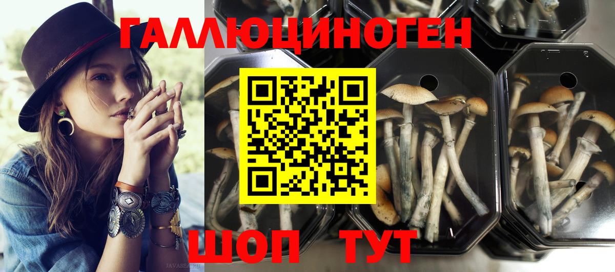 Галлюциногенные грибы прущие грибы  Псилоцибиновые грибы ЛСД  Шелехов  Вход с VPN 