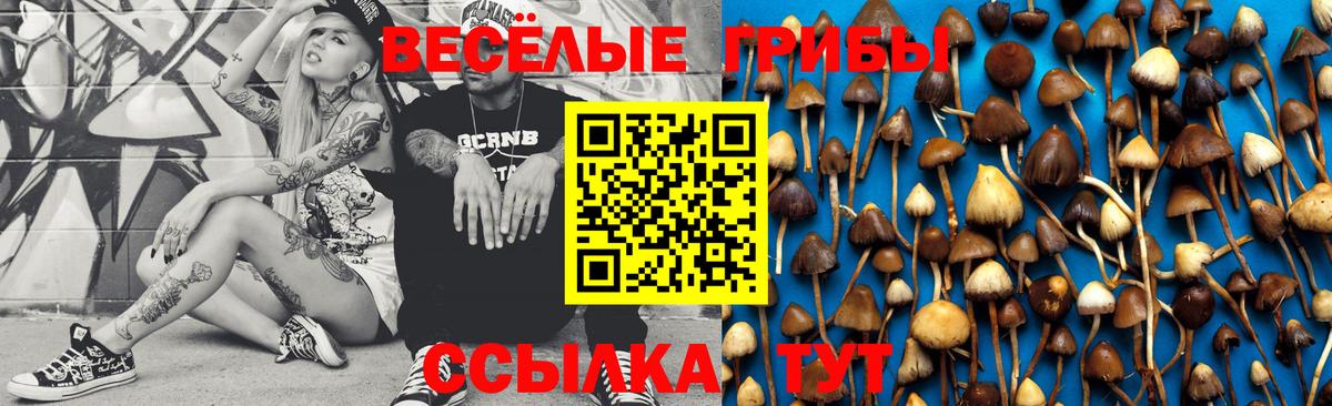 A-PVP СОЛЬ   COCAIN  МДМА  Экстази  Шелехов  АМФ   ГАШИШ  Бошки Шишки  Меф МЯУ МЯУ   Вход с VPN 