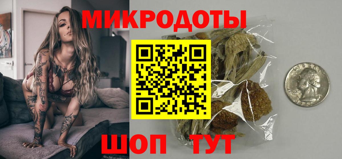 Галлюциногенные грибы Psilocybine cubensis Шелехов